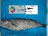 ( - ABR2_2_6795)  @12 [ ] Unspecified (default): All Rights Reserved  Unspecified Unspecified