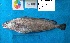  ( - ABR2_3_6919)  @12 [ ] Unspecified (default): All Rights Reserved  Unspecified Unspecified