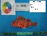  ( - RAS1_1_6935)  @13 [ ] Unspecified (default): All Rights Reserved  Unspecified Unspecified