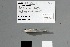  ( - ATH_1_8784)  @11 [ ] Unspecified (default): All Rights Reserved  Unspecified Unspecified