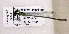  ( - BCZSM_ODO_0013)  @11 [ ] CreativeCommons - Attribution Non-Commercial Share-Alike (2015) Unspecified SNSB, Zoologische Staatssammlung Muenchen