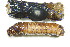  ( - BCZSM_EPH_0152)  @12 [ ] CreativeCommons - Attribution Non-Commercial Share-Alike (2015) Unspecified SNSB, Zoologische Staatssammlung Muenchen