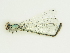  ( - GBOL00290)  @12 [ ] CreativeCommons - Attribution Non-Commercial Share-Alike (2015) Unspecified SNSB, Zoologische Staatssammlung Muenchen