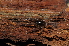 ( - BC ZSM ARA 00062)  @14 [ ] CreativeCommons - Attribution Non-Commercial Share-Alike (2010) Stefan Schmidt SNSB, Zoologische Staatssammlung Muenchen