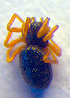  ( - BC ZSM ARA 00222)  @12 [ ] CreativeCommons - Attribution Non-Commercial Share-Alike (2010) Zoologische Staatssammlung Muenchen SNSB, Zoologische Staatssammlung Muenchen