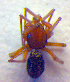  (Macrargus carpenteri - BC ZSM ARA 00223)  @12 [ ] CreativeCommons - Attribution Non-Commercial Share-Alike (2010) Zoologische Staatssammlung Muenchen SNSB, Zoologische Staatssammlung Muenchen