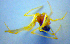  ( - BC ZSM ARA 00466)  @12 [ ] CreativeCommons - Attribution Non-Commercial Share-Alike (2010) Zoologische Staatssammlung Muenchen SNSB, Zoologische Staatssammlung Muenchen
