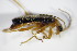  ( - BFB_Col_FK_9204)  @11 [ ] Unspecified (default): All Rights Reserved  Unspecified Unspecified
