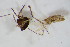  ( - CCDB22603-G07)  @11 [ ] CreativeCommons - Attribution Non-Commercial Share-Alike (2015) Unspecified SNSB, Zoologische Staatssammlung Muenchen