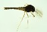  ( - CCDB24183-D01)  @11 [ ] Unspecified (default): All Rights Reserved  SNSB, Staatliche Naturwissenschaftliche Sammlungen Bayerns ZSM (SNSB, Zoologische Staatssammlung Muenchen)
