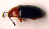  ( - BC ZSM COLA 00001)  @11 [ ] CreativeCommons - Attribution Non-Commercial Share-Alike (2010) Unspecified SNSB, Zoologische Staatssammlung Muenchen