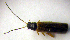  ( - BC ZSM COLA 00078)  @12 [ ] CreativeCommons - Attribution Non-Commercial Share-Alike (2010) Unspecified SNSB, Zoologische Staatssammlung Muenchen