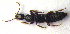  ( - BC ZSM COLA 00110)  @12 [ ] CreativeCommons - Attribution Non-Commercial Share-Alike (2010) Unspecified SNSB, Zoologische Staatssammlung Muenchen