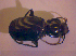  (Licinus hoffmannseggii - BC ZSM COL 02383)  @13 [ ] CreativeCommons - Attribution Non-Commercial Share-Alike (2010) Zoologische Staatssammlung Muenchen SNSB, Zoologische Staatssammlung Muenchen