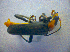  ( - BC ZSM COL 02791)  @12 [ ] CreativeCommons - Attribution Non-Commercial Share-Alike (2012) Zoologische Staatssammlung Muenchen SNSB, Zoologische Staatssammlung Muenchen