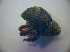  ( - BFB_Col_FK_2889)  @11 [ ] CreativeCommons - Attribution Non-Commercial Share-Alike (2012) Zoologische Staatssammlung Muenchen SNSB, Zoologische Staatssammlung Muenchen