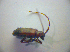  ( - BFB_Col_FK_2910)  @12 [ ] CreativeCommons - Attribution Non-Commercial Share-Alike (2012) Zoologische Staatssammlung Muenchen SNSB, Zoologische Staatssammlung Muenchen