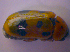  (Clytra atraphaxidis - BFB_Col_FK_4739)  @13 [ ] CreativeCommons - Attribution Non-Commercial Share-Alike (2012) Zoologische Staatssammlung Muenchen SNSB, Zoologische Staatssammlung Muenchen