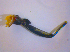  ( - BFB_Col_FK_4885)  @11 [ ] CreativeCommons - Attribution Non-Commercial Share-Alike (2012) Zoologische Staatssammlung Muenchen SNSB, Zoologische Staatssammlung Muenchen