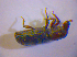  ( - BFB_Col_FK_4928)  @11 [ ] CreativeCommons - Attribution Non-Commercial Share-Alike (2012) Zoologische Staatssammlung Muenchen SNSB, Zoologische Staatssammlung Muenchen