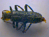  ( - BFB_Col_FK_4539)  @12 [ ] CreativeCommons - Attribution Non-Commercial Share-Alike (2012) Zoologische Staatssammlung Muenchen SNSB, Zoologische Staatssammlung Muenchen