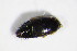  ( - BFB_Col_FK_11142)  @12 [ ] CreativeCommons - Attribution Non-Commercial Share-Alike (2015) Unspecified SNSB, Zoologische Staatssammlung Muenchen