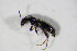 ( - BFB_Col_FK_11261)  @12 [ ] CreativeCommons - Attribution Non-Commercial Share-Alike (2015) Unspecified SNSB, Zoologische Staatssammlung Muenchen