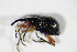  ( - BFB_Col_FK_11269)  @12 [ ] CreativeCommons - Attribution Non-Commercial Share-Alike (2015) Unspecified SNSB, Zoologische Staatssammlung Muenchen