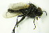  ( - DIP 05628)  @12 [ ] CreativeCommons - Attribution Non-Commercial Share-Alike (2015) Unspecified SNSB, Zoologische Staatssammlung Muenchen