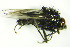  ( - DIP 05669)  @12 [ ] CreativeCommons - Attribution Non-Commercial Share-Alike (2015) Unspecified SNSB, Zoologische Staatssammlung Muenchen