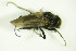  ( - DIP 05670)  @12 [ ] CreativeCommons - Attribution Non-Commercial Share-Alike (2015) Unspecified SNSB, Zoologische Staatssammlung Muenchen