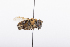  ( - QCAZI_211847)  @12 [ ] Rita Hidalgo (2016) Rita Hidalgo PUCE