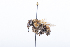  ( - QCAZI_211848)  @13 [ ] Rita Hidalgo (2016) Rita Hidalgo PUCE