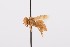  ( - QCAZI_211849)  @12 [ ] Rita Hidalgo (2016) Rita Hidalgo PUCE