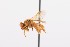  ( - QCAZI_211853)  @12 [ ] Rita Hidalgo (2016) Rita Hidalgo PUCE