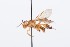  ( - QCAZI_211880)  @12 [ ] Rita Hidalgo (2016) Rita Hidalgo PUCE
