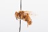 ( - QCAZI_211890)  @13 [ ] Rita Hidalgo (2016) Rita Hidalgo PUCE