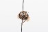  (Trigona EC05 - QCAZI_211899)  @11 [ ] Rita Hidalgo (2016) Rita Hidalgo PUCE