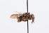  ( - QCAZI_212336)  @12 [ ] Rita Hidalgo (2016) Rita Hidalgo PUCE