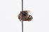  (Trigona EC03 - QCAZI_212354)  @11 [ ] Rita Hidalgo (2016) Rita Hidalgo PUCE