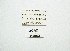  ( - QCAZI_23062)  @11 [ ] Rita Hidalgo (2016) Rita Hidalgo PUCE