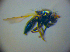  ( - BC ZSM DIP 02082)  @12 [ ] CreativeCommons - Attribution Non-Commercial Share-Alike (2010) Zoologische Staatssammlung Muenchen SNSB, Zoologische Staatssammlung Muenchen