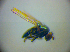  ( - BC ZSM DIP 02083)  @12 [ ] CreativeCommons - Attribution Non-Commercial Share-Alike (2010) Zoologische Staatssammlung Muenchen SNSB, Zoologische Staatssammlung Muenchen