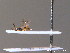  ( - BC ZSM HYM 10447)  @12 [ ] CreativeCommons - Attribution Non-Commercial Share-Alike (2011) Stefan Schmidt SNSB, Zoologische Staatssammlung Muenchen