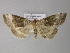  ( - BC ZSM Lep 21444)  @12 [ ] CreativeCommons - Attribution Non-Commercial Share-Alike (2010) Axel Hausmann/Bavarian State Collection of Zoology (ZSM) SNSB, Zoologische Staatssammlung Muenchen