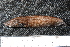  ( - BayFi 00282)  @12 [ ] CreativeCommons - Attribution Non-Commercial Share-Alike (2015) Unspecified SNSB, Zoologische Staatssammlung Muenchen