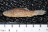  ( - BayFi 04856)  @11 [ ] CreativeCommons - Attribution Non-Commercial Share-Alike (2015) Unspecified SNSB, Zoologische Staatssammlung Muenchen