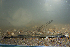  ( - ZSM BayFi 8990)  @12 [ ] CreativeCommons - Attribution Non-Commercial Share-Alike (2015) Unspecified SNSB, Zoologische Staatssammlung Muenchen