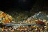  ( - ZSM BayFi 8995)  @12 [ ] CreativeCommons - Attribution Non-Commercial Share-Alike (2015) Unspecified SNSB, Zoologische Staatssammlung Muenchen