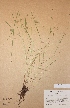  ( - H-KYM001823)  @11 [ ] Unspecified (default): All Rights Reserved  Unspecified Unspecified